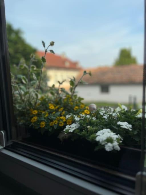 Im Thueringer Wald Apartment *