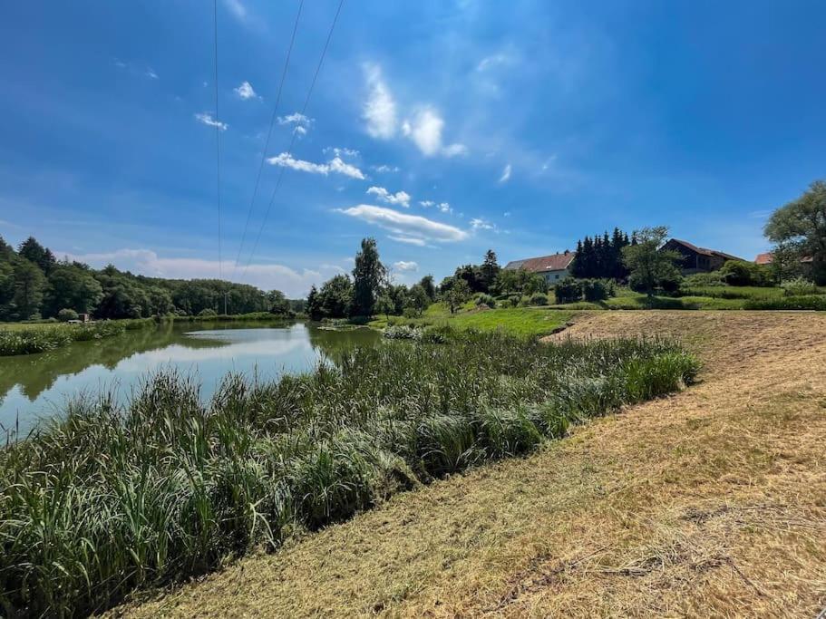 Apartment Im Thueringer Wald